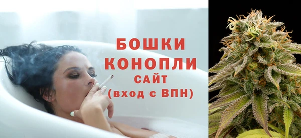 индика Каменск-Шахтинский