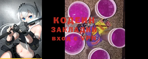 гидра Каменка