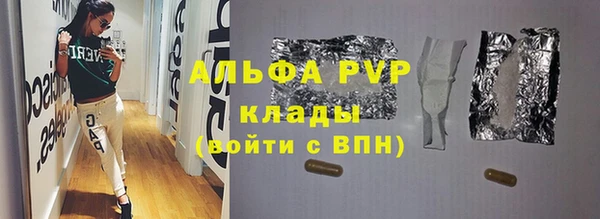 гидра Каменка