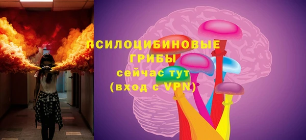 индика Каменск-Шахтинский