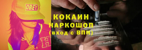 гидра Каменка