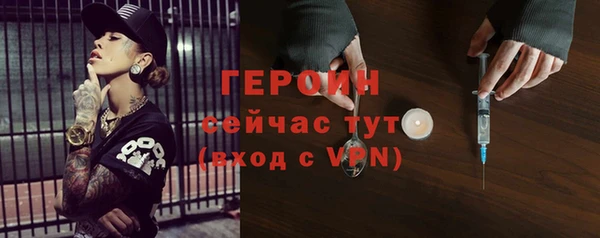 гидра Каменка
