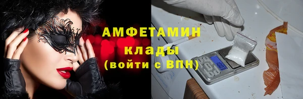 гидра Каменка