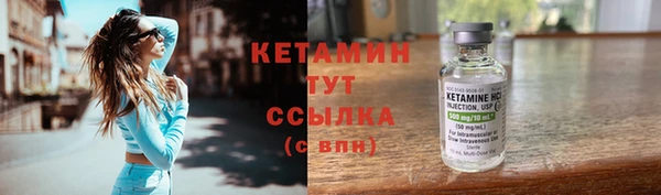 гидра Каменка