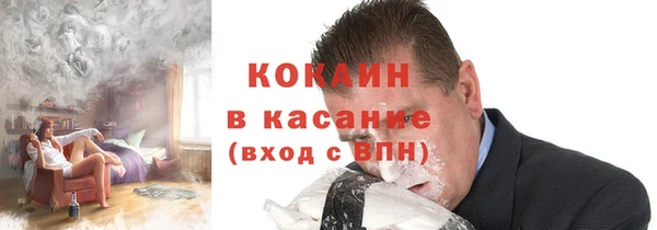 гидра Каменка