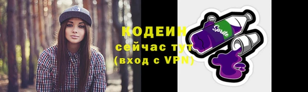 гидра Каменка