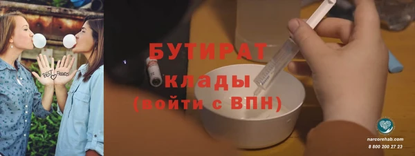 гидра Каменка