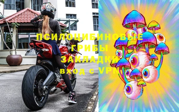 гидра Каменка