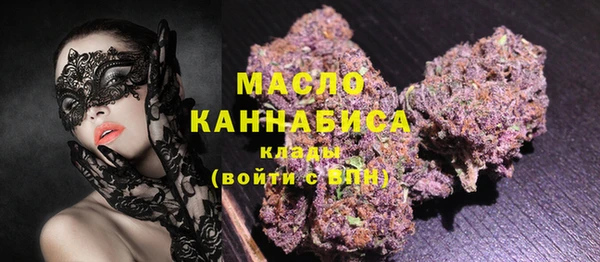 индика Каменск-Шахтинский
