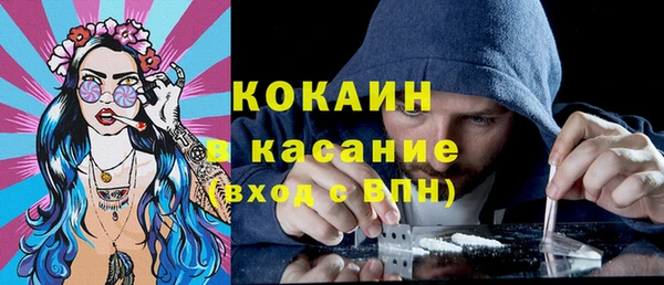 индика Каменск-Шахтинский