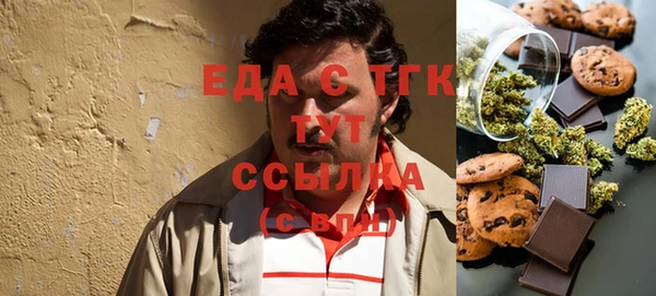 гидра Каменка