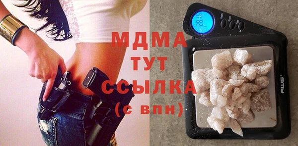 гидра Каменка