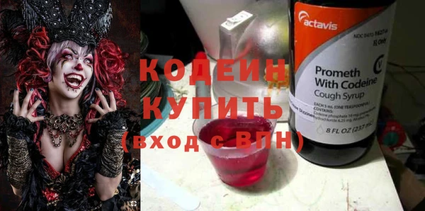 индика Каменск-Шахтинский
