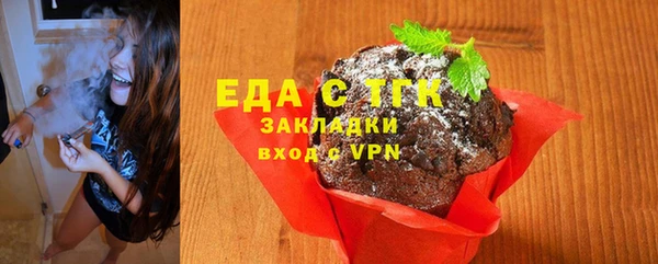 гидра Каменка