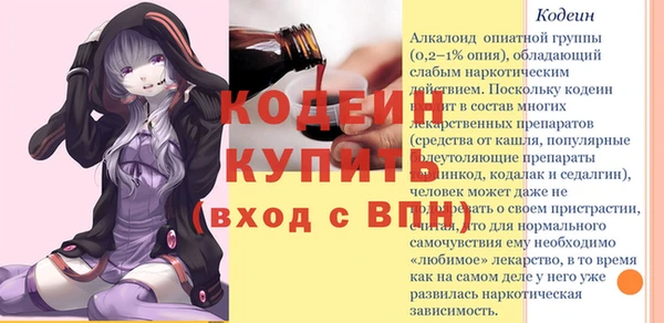 гидра Каменка