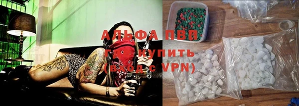 индика Каменск-Шахтинский