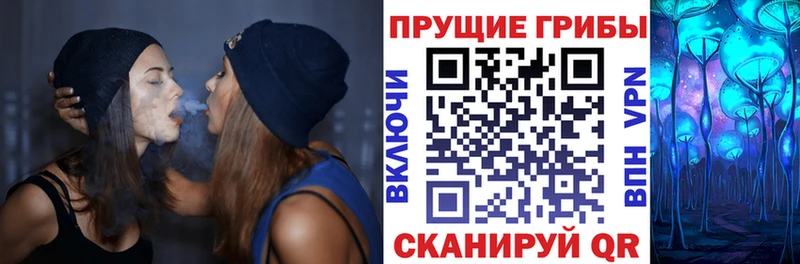 Купить закладки  Борзя  Галлюциногенные грибы Psilocybine cubensis 